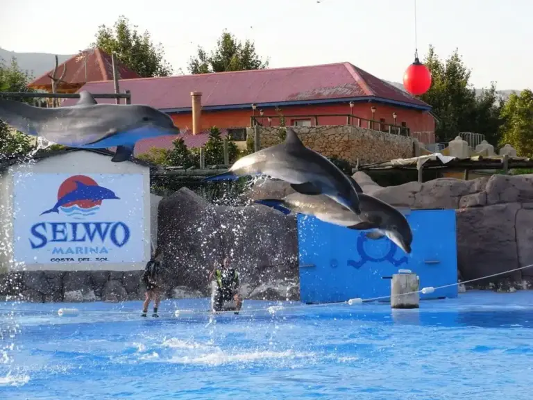 Selwo Marina