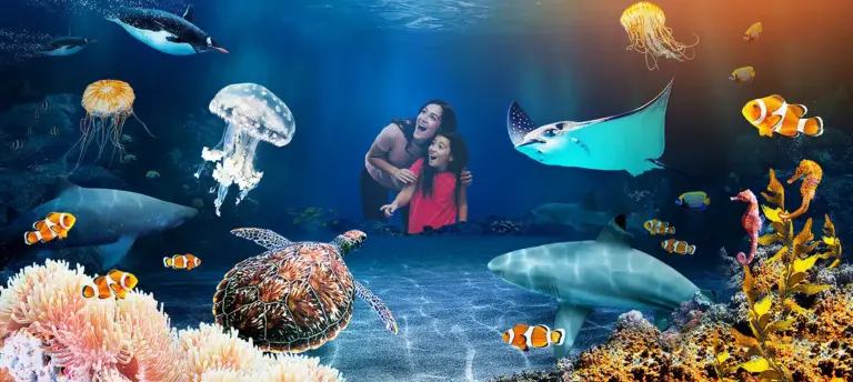 Sea Life Benalmádena